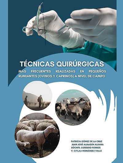 T Cnicas Quir Rgicas Bm Editores