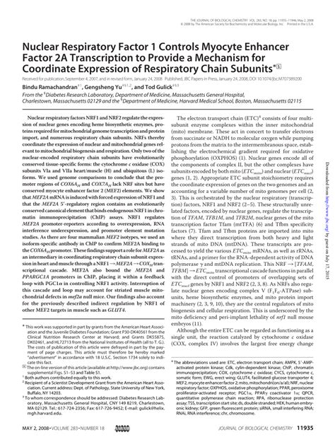 Pdf Nuclear Respiratory Factor 1 Controls Myocyte Enhancer Factor 2a