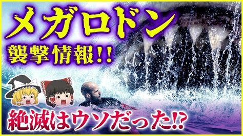 【ゆっくり解説】メガロドンに襲撃された 太古の超巨大ザメが生存する数々の衝撃的証拠を紹介 Youtube