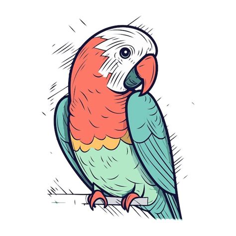 Premium Vector Parrot Vector Illustration Hand Drawn Sketch Of A Parrot