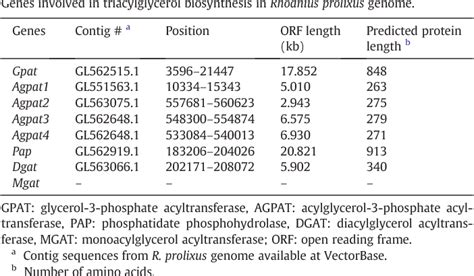 Table 1 from Triacylglycerol biosynthesis occurs via the glycerol-3 ...