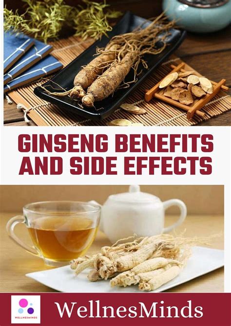 Ginseng Benefits and Side Effects | Ginseng benefits, Red ginseng ...