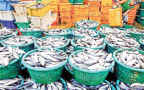 Myanmar Conveys 5304 Mln Worth Fishery Products To Thailand Through