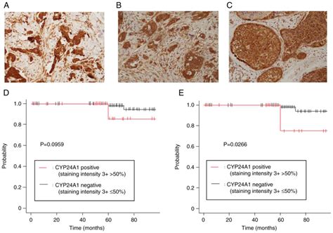 Suppression Of The Vitamin D Metabolizing Enzyme CYP24A1 Provides