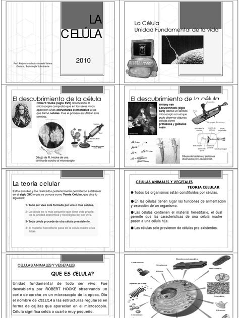 La CelÚla 4to Secundaria Modo De Compatibilidad Blanco Y Negro Pdf Citoplasma Retículo