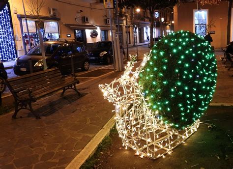 Il Pd Passa Al Setaccio Le Spese A Natale Puoi Fare Quello Che Non