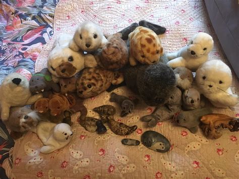 My seal collection :3 : r/seals