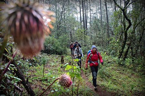 Atr Vete A Disfrutar Del Ecoturismo Y Aventura En Oaxaca Ro House