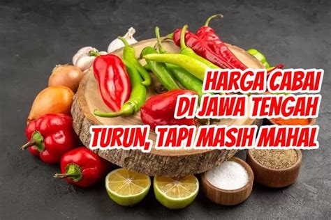 Harga Cabai Turun Tetapi Tetap Mahal Detil Perubahan Harga Bahan