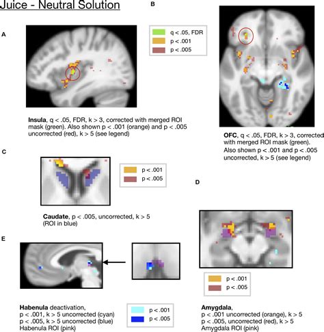 Frontiers The Neural Correlates Of Cued Reward Omission Human