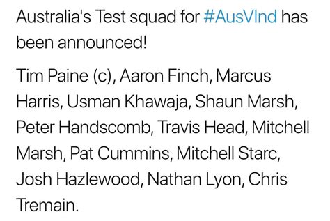 Australian squad for Test Series Vs India. : r/Cricket