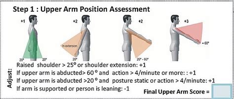 First Step Of The Ergonomics Assessment Process For The Rapid Entire