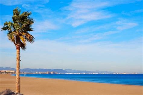 Playas Para Perros En Valencia