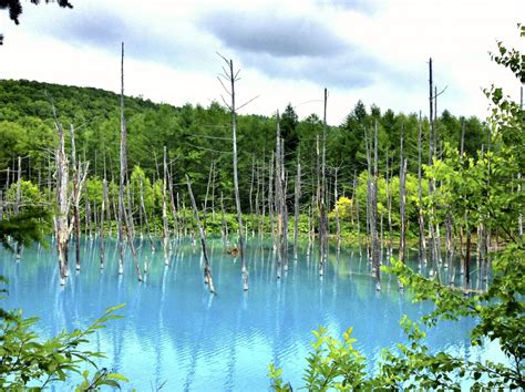 Fotos gratis paisaje árbol naturaleza bosque al aire libre lago