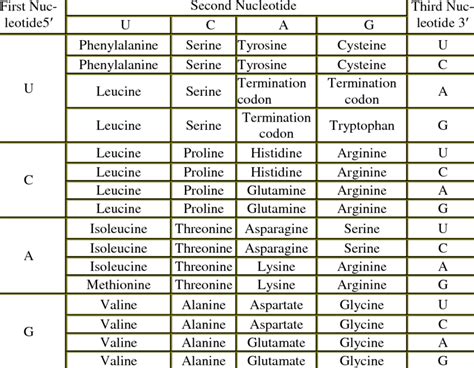 Amino Acid Codon Chart