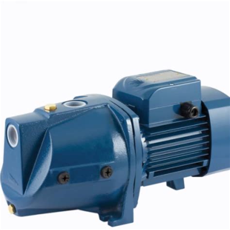 Jual Pedrollo Jswm Cx Pump Only Semi Jet Pump Pompa Air Sumur Dangkal