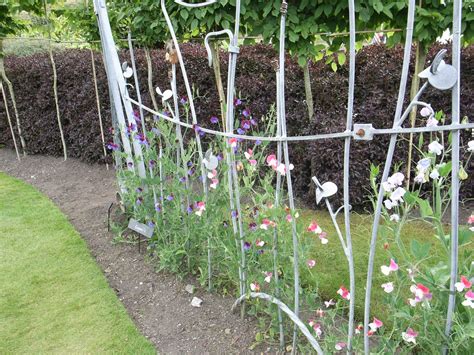 Sweet Pea Frame At The Eden Project Garden Inspiration Eden Project