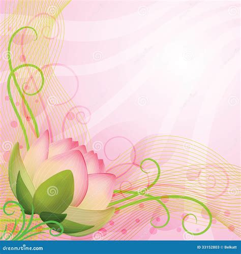 Pink Lotus Flower Logo Design Isolated Background Stock Photography ...