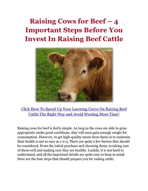 Raising Cows for Beef – 4 Important Steps Before You Invest In Raisin…