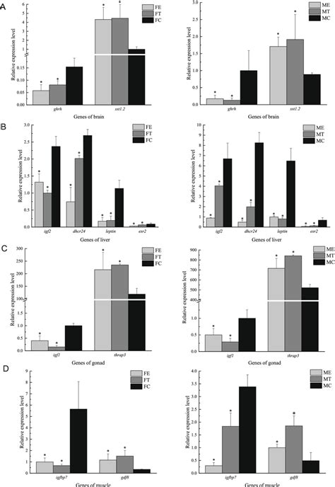 The Expression Pattern Analysis For Growth Related Genes In Genetic