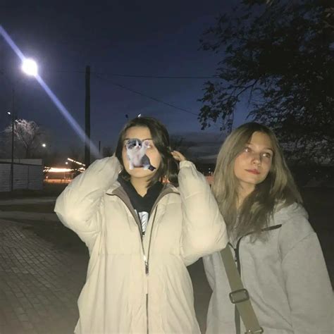 два кота
