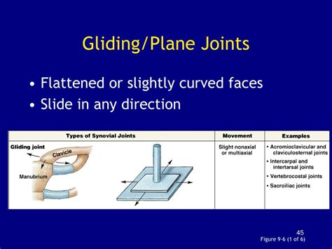 Ppt Chapter 9 Articulations Powerpoint Presentation Free Download