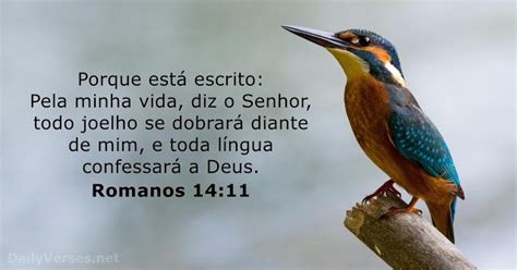 Todo Joelho Se Dobrará E Toda Lingua Proclamara - Palavra Do Dia: Todo Joelho Se Dobrará Diante De Deus, E Toda Língua ...