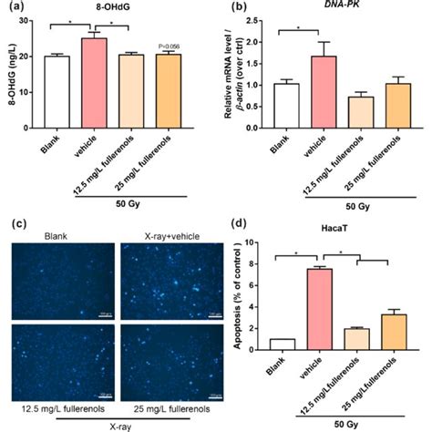 Fullerenols Inhibited X Ray Induced HaCaT Cell DNA Damage And