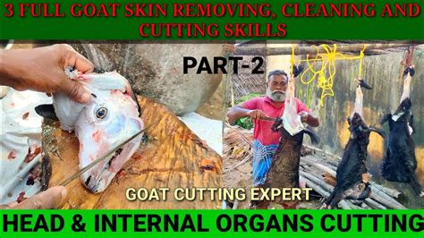 3 Goat Head Cutting By Expert And Easy Cleaning And Internal Organs Cutting Youtube