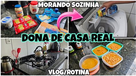 VLOG DO MEU DIA CUIDANDO DE CASA E TRABALHANDO MORANDO SOZINHA