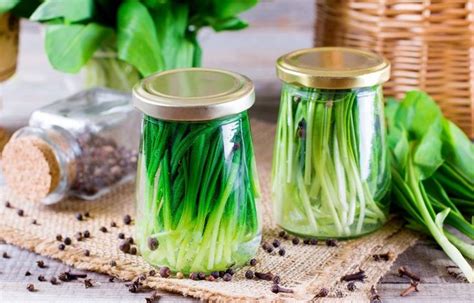 Маринованные стрелки чеснока: пошаговый рецепт чесночных стрелок в ...