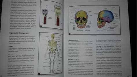 Manual De Enfermería Traumatología Y Ortopedia en venta en Guaymallén