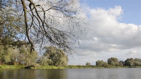 Backwater Of Oder River, Lower Oder Valley National Park, Germany Stock ...