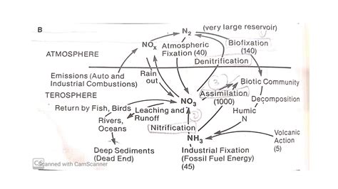 Biogeochemical Cycle Lecture 3 Youtube