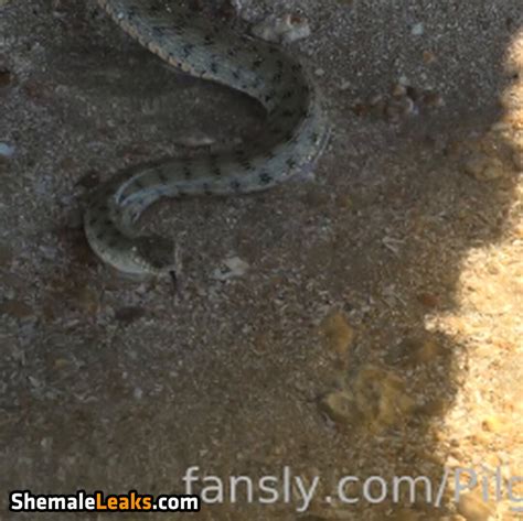 Cinderella Girl Cinderella Story Cinderelagirl69 Cinderelastory Leaked Nude OnlyFans