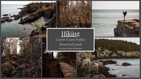 Hiking Cutler Coast Public Reserved Land — The Bearded Mainer Photography