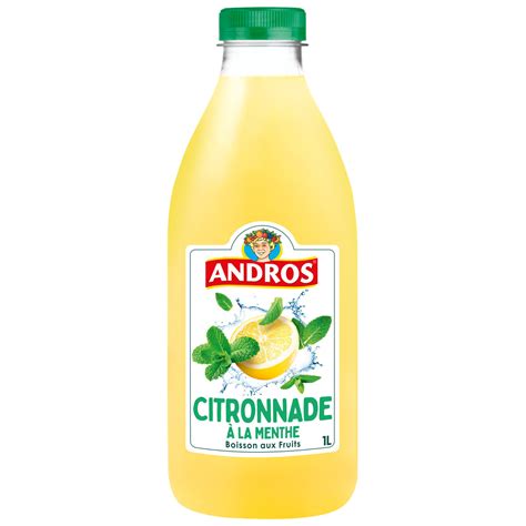 Boisson Citronnade La Menthe Andros La Bouteille De L Prix