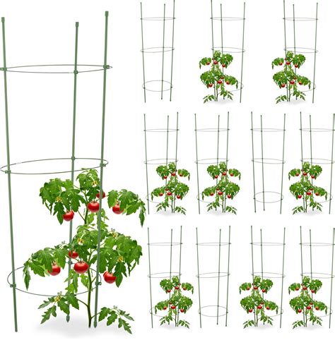 Relaxdays X Cage Tomates Tuteur Plantes Grimpantes Support