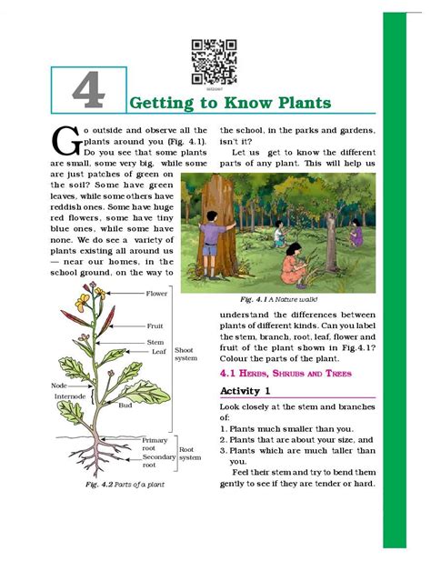 Ncert Book Class Science Chapter Getting To Know Plants Pdf Aglasem