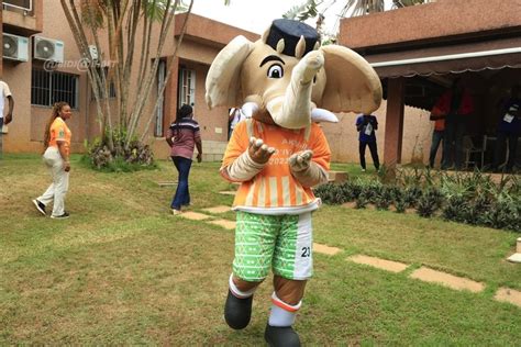 Can La Mascotte Akwaba C L Bre La Victoire Des El Phants De C Te