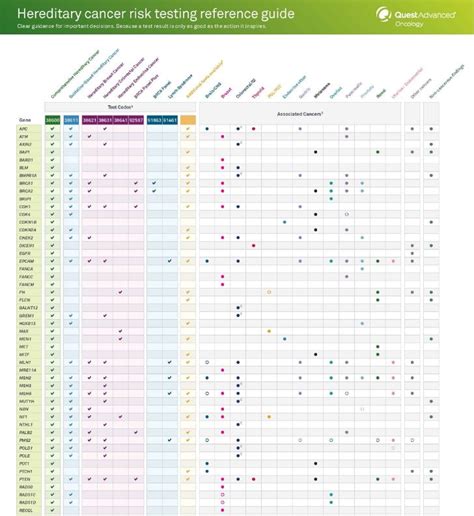 Comprehensive And Guideline Based Hereditary Cancer Panels Quest