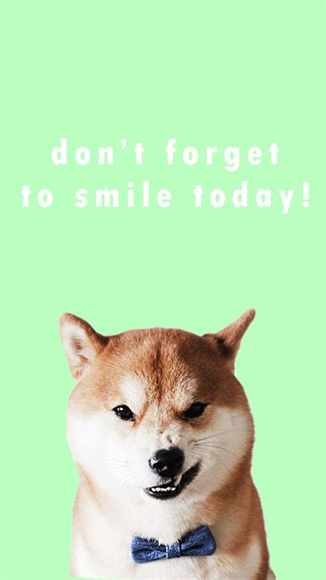 Doge Phone Wallpapers - Top Free Doge Phone Backgrounds - WallpaperAccess