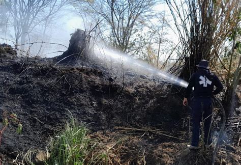 Hasta Mil Litros De Agua Diarios Se Usan Para Apagar Incendios E