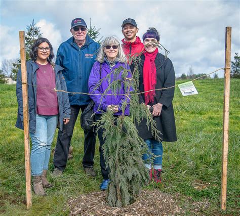 Vancouver Honors Volunteers With Tree Planting The Columbian