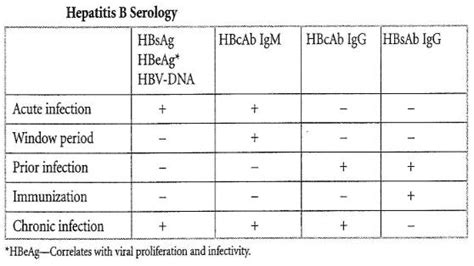 Important Points On Hepatitis B Serology With Mcqs Acrosspg