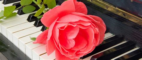Top 10 Songs for a Funeral Ceremony - Funeral Basics