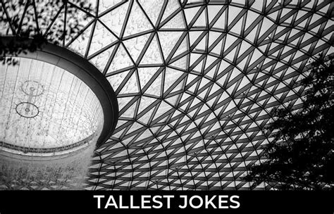 63 Tallest Jokes And Funny Puns Jokojokes