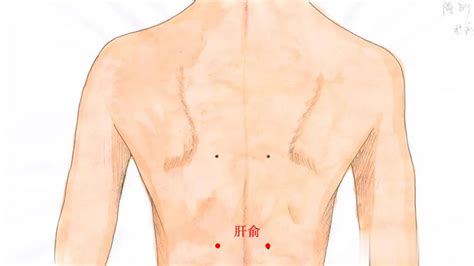 养生之道：日常按摩三大穴位，疏肝解郁，远离疾病