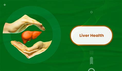 Ayurvedic Liver Tonics Why They Are Your Liver S Best Pals