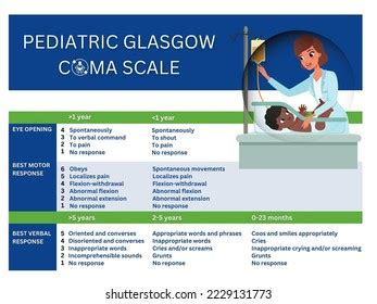 Glasgow Coma Scale (GCS) Assessment Nursing NCLEX Review, 51% OFF